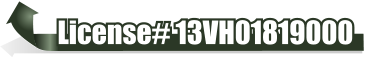 License# 13VH01819000